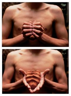 Mis.Manos.son.mi.corazon.GO.1991