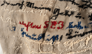 Agnes.Richter. Dementia.Precox